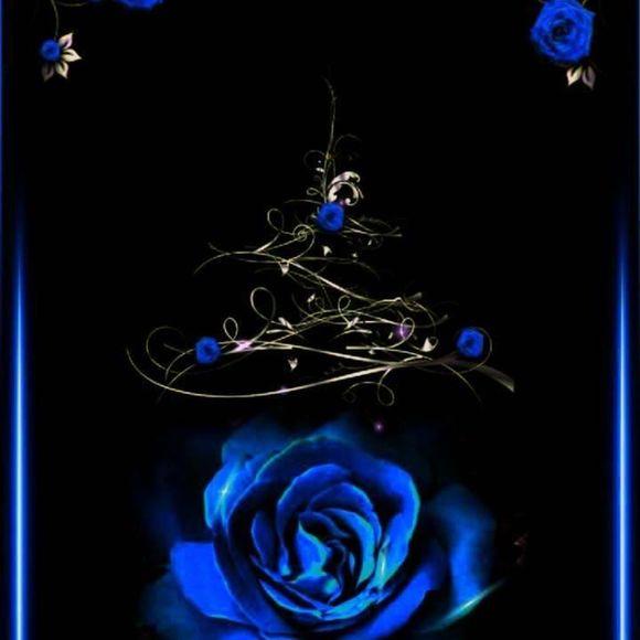 Meet your Posher, Letasha - Picture 1 of 1